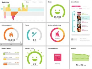 fitbit-dashboard-300x224